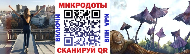 Псилоцибиновые грибы Psilocybe Железногорск