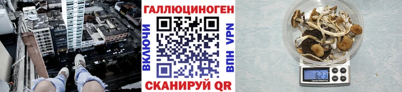 Галлюциногенные грибы Cubensis  Железногорск 